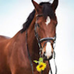 Meet your Posher, Gemma